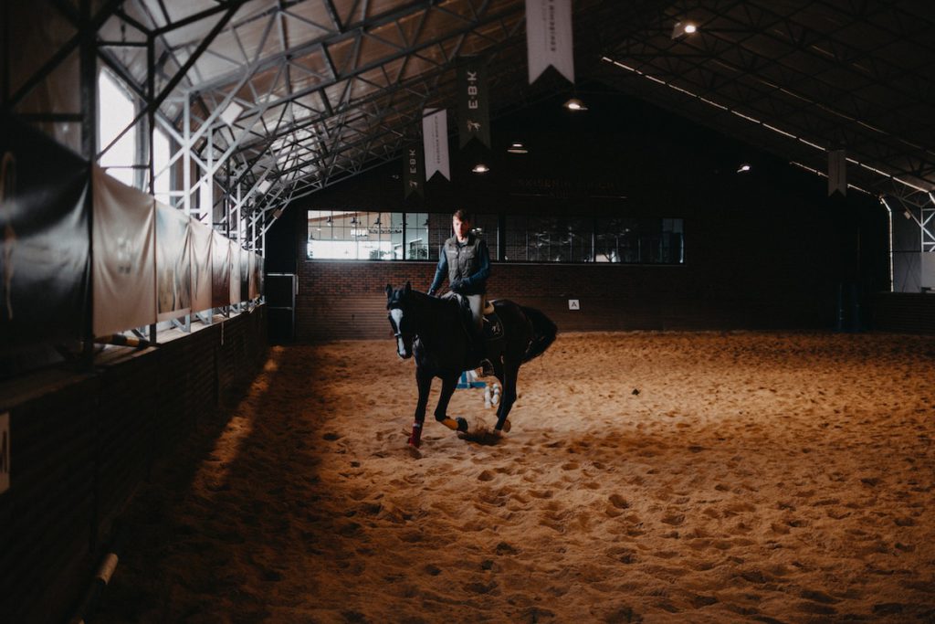 dressage arena construction