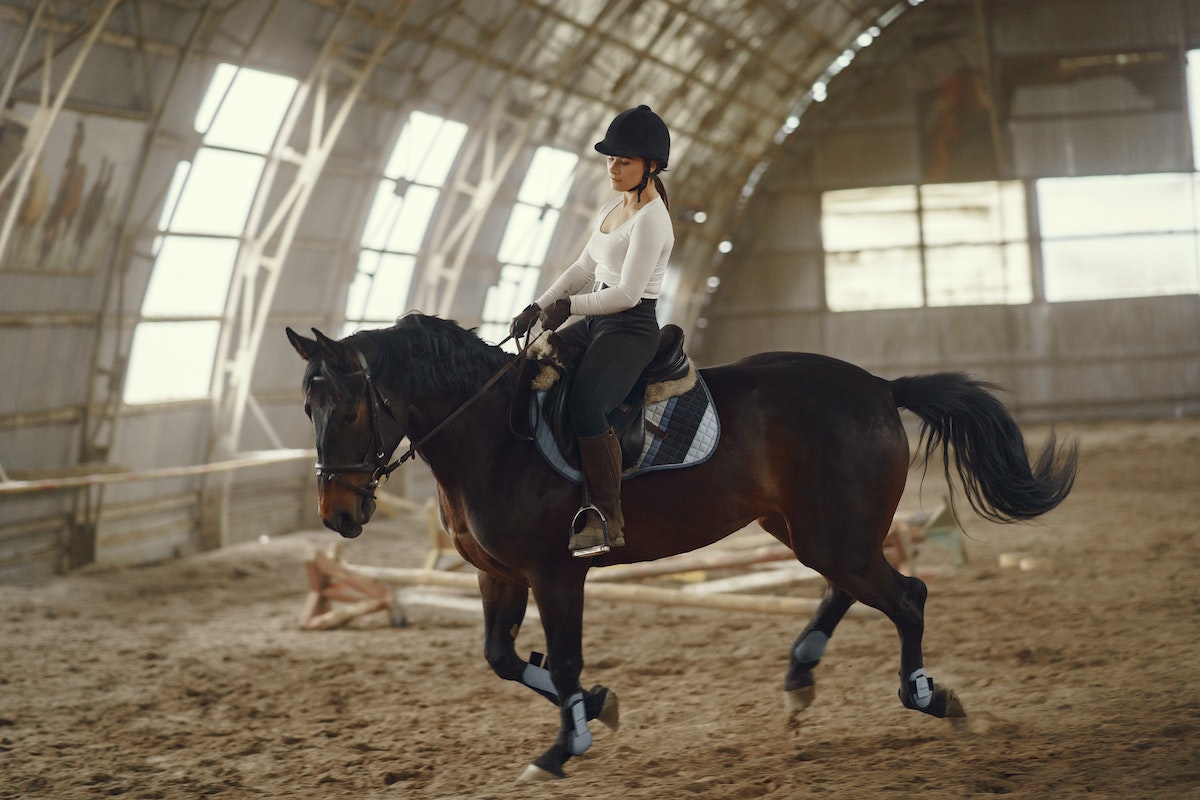 indoor arena