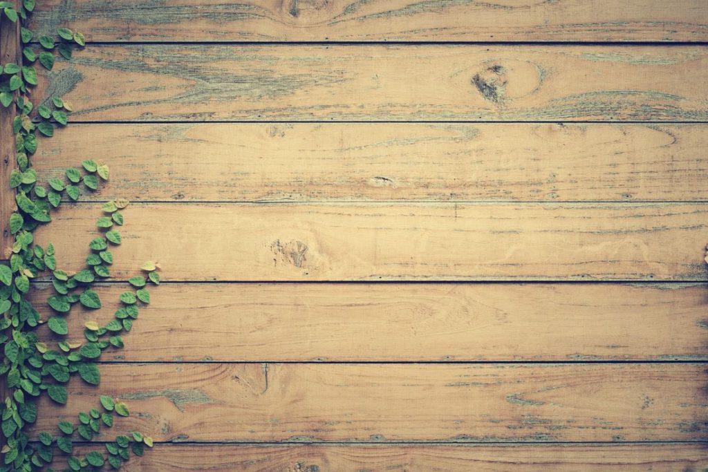 Timber ceiling